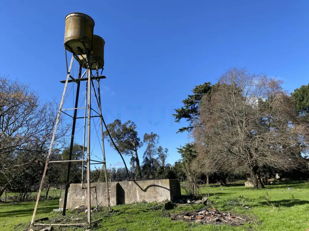 Campo de 10 ha en Sierra de los Padres, foto 2