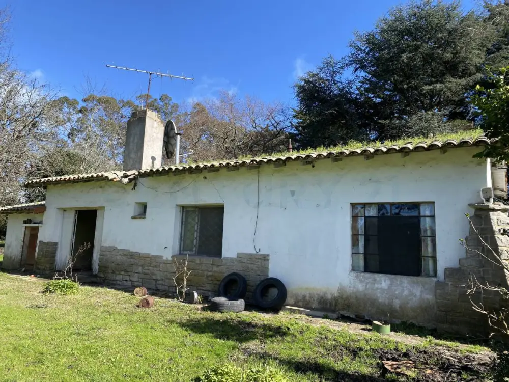 Campo de 10 ha en Sierra de los Padres, foto 3