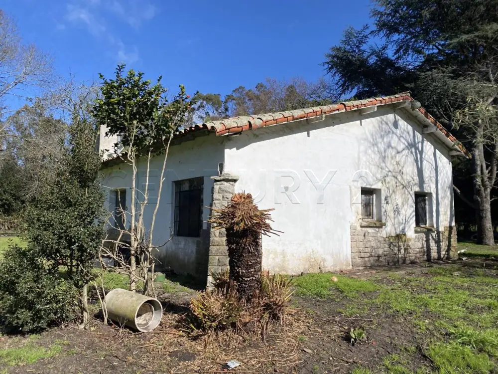Campo de 10 ha en Sierra de los Padres, foto 4