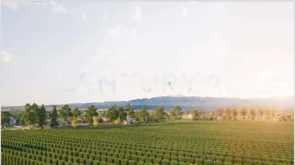 Lote de 1.500 m² en Agrelo, Mendoza, foto 4