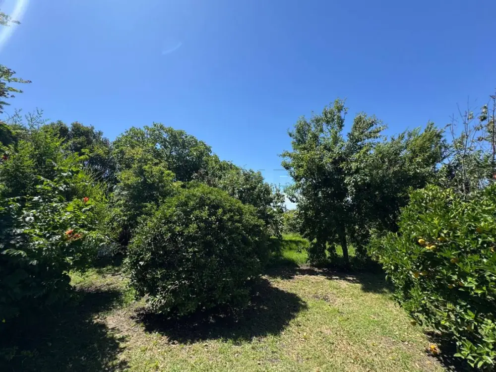 Campo de 5,1 ha en Mar del Plata, foto 2