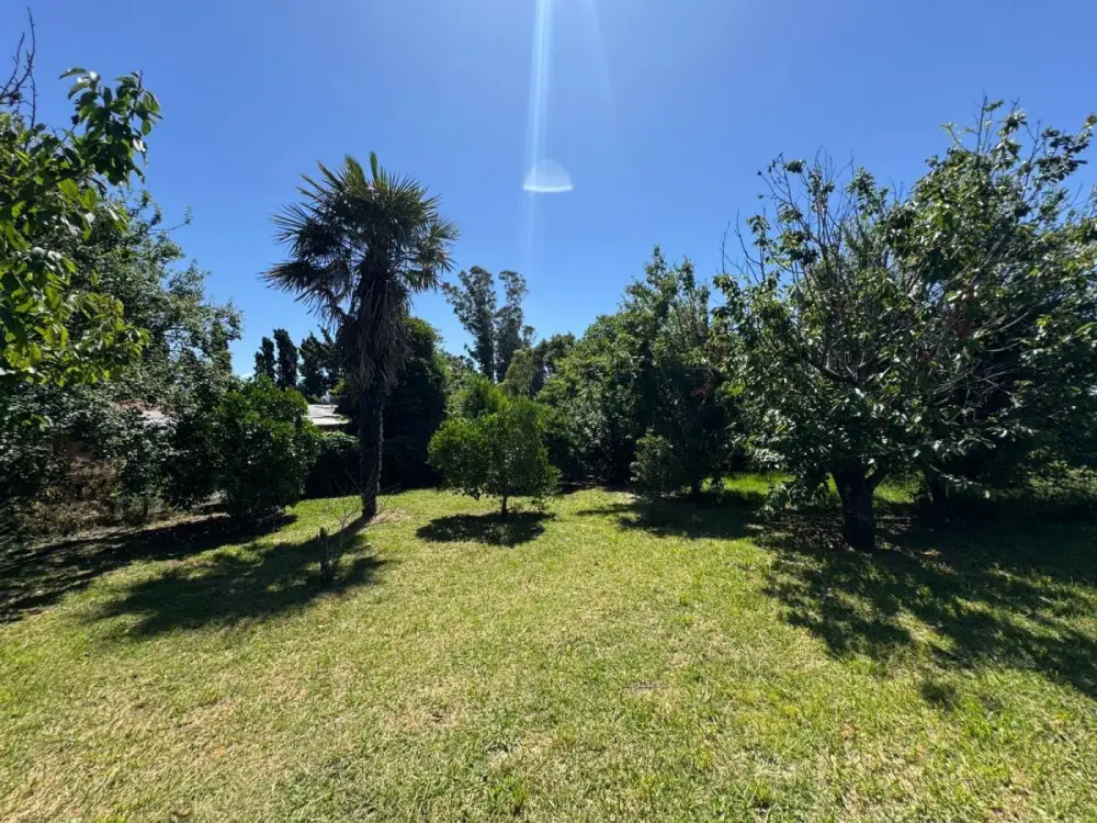 Campo de 5,1 ha en Mar del Plata, foto 3