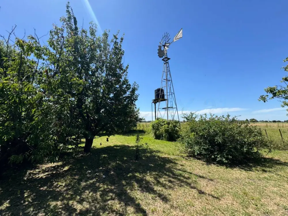 Campo de 5,1 ha en Mar del Plata, foto 5