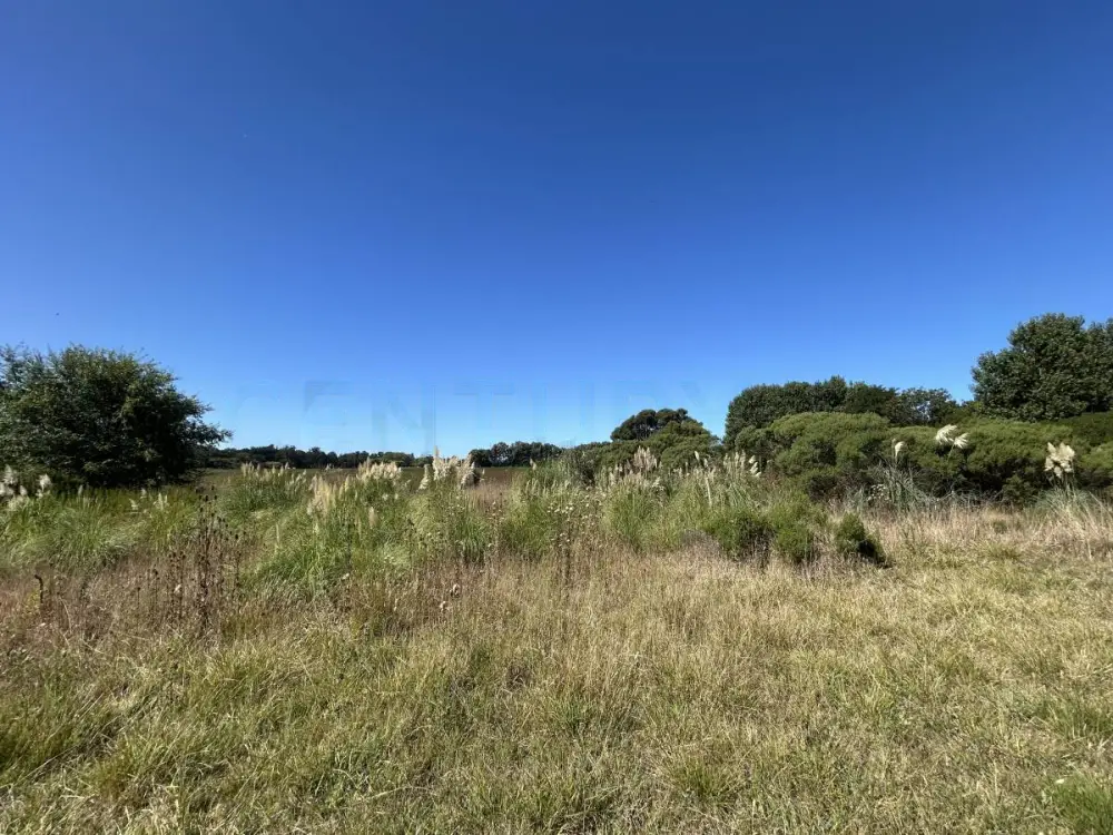 Lote de 4.000 m² en Santa Rosa del Mar, foto 2