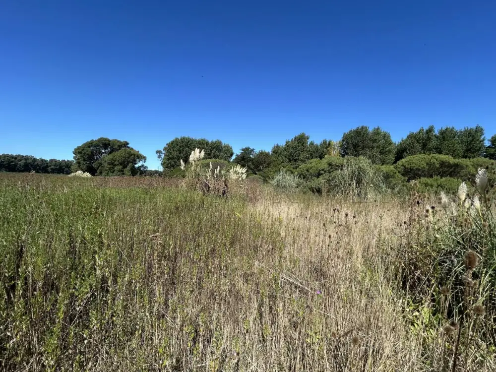 Lote de 4.000 m² en Santa Rosa del Mar, foto 5