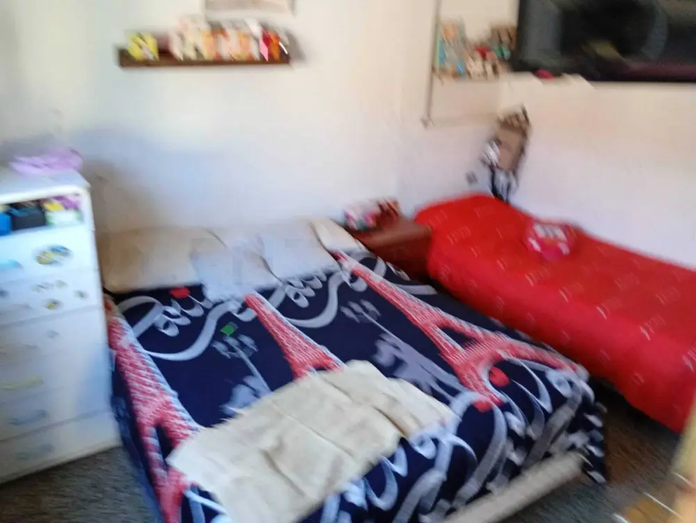 Casa de 3 ambientes en 9 de Julio, foto 5