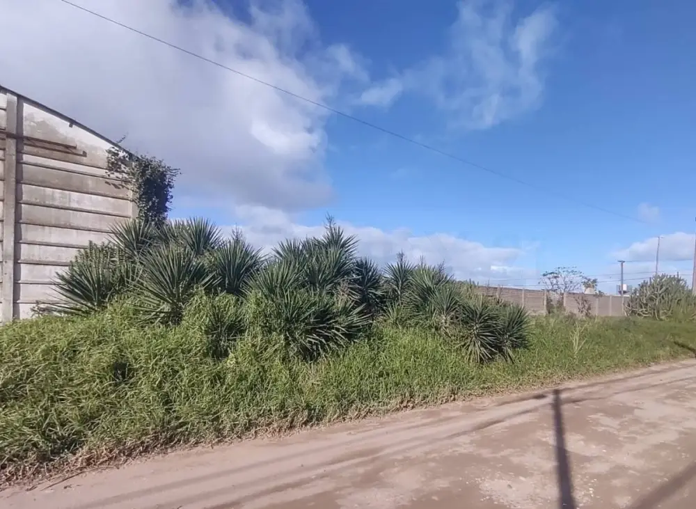 Lote de 5.000 m² en Necochea, foto 2