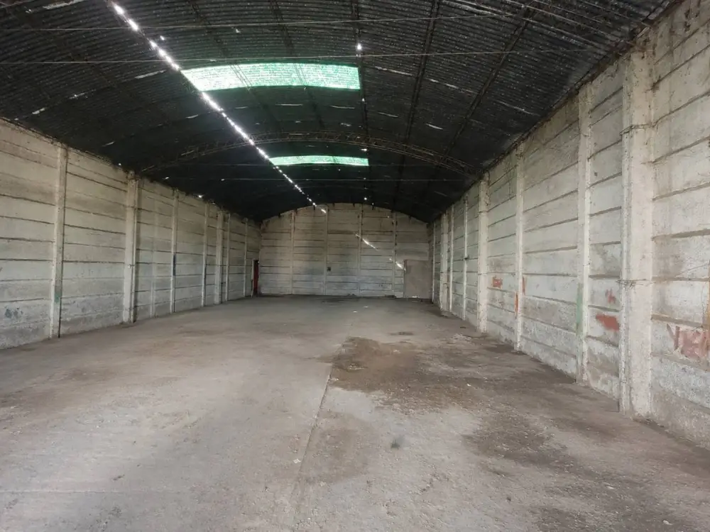 Lote de 5.000 m² en Necochea, foto 4