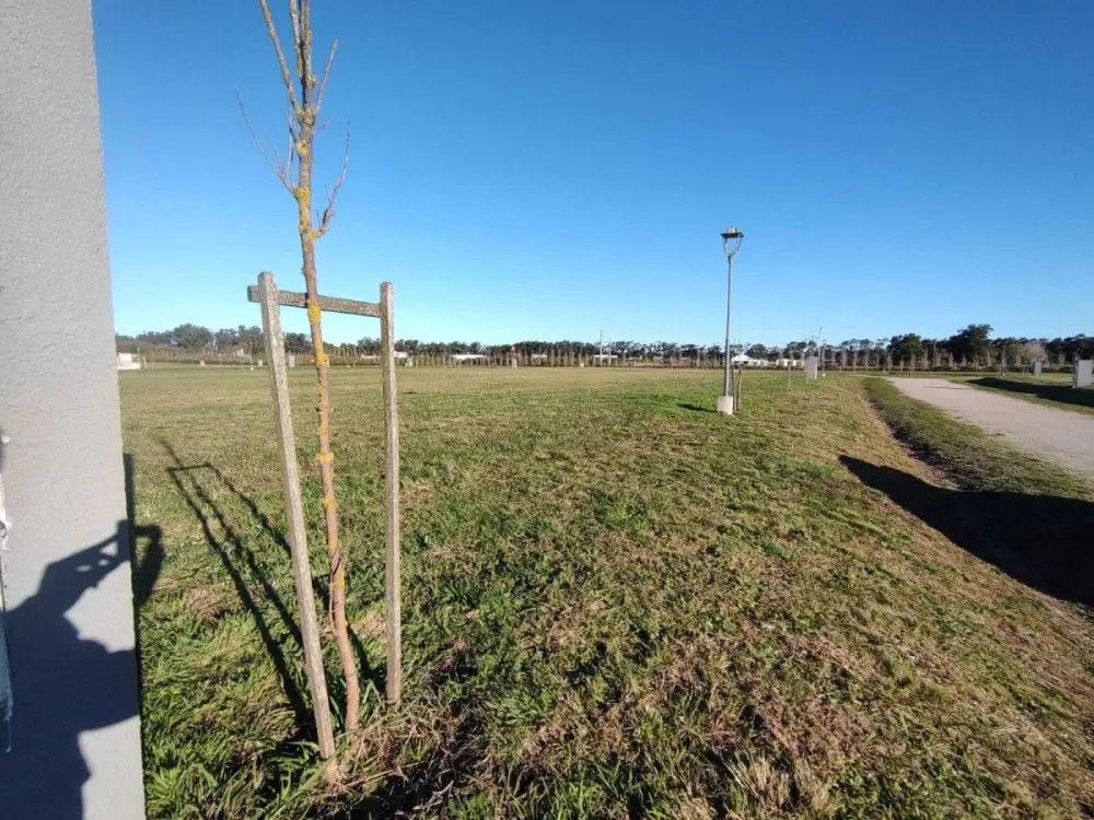 Lote de 881 m² en Mar Chiquita, foto 4