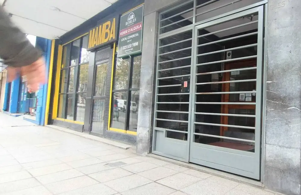 Departamento de 3 ambientes en Plaza Mitre, foto 3