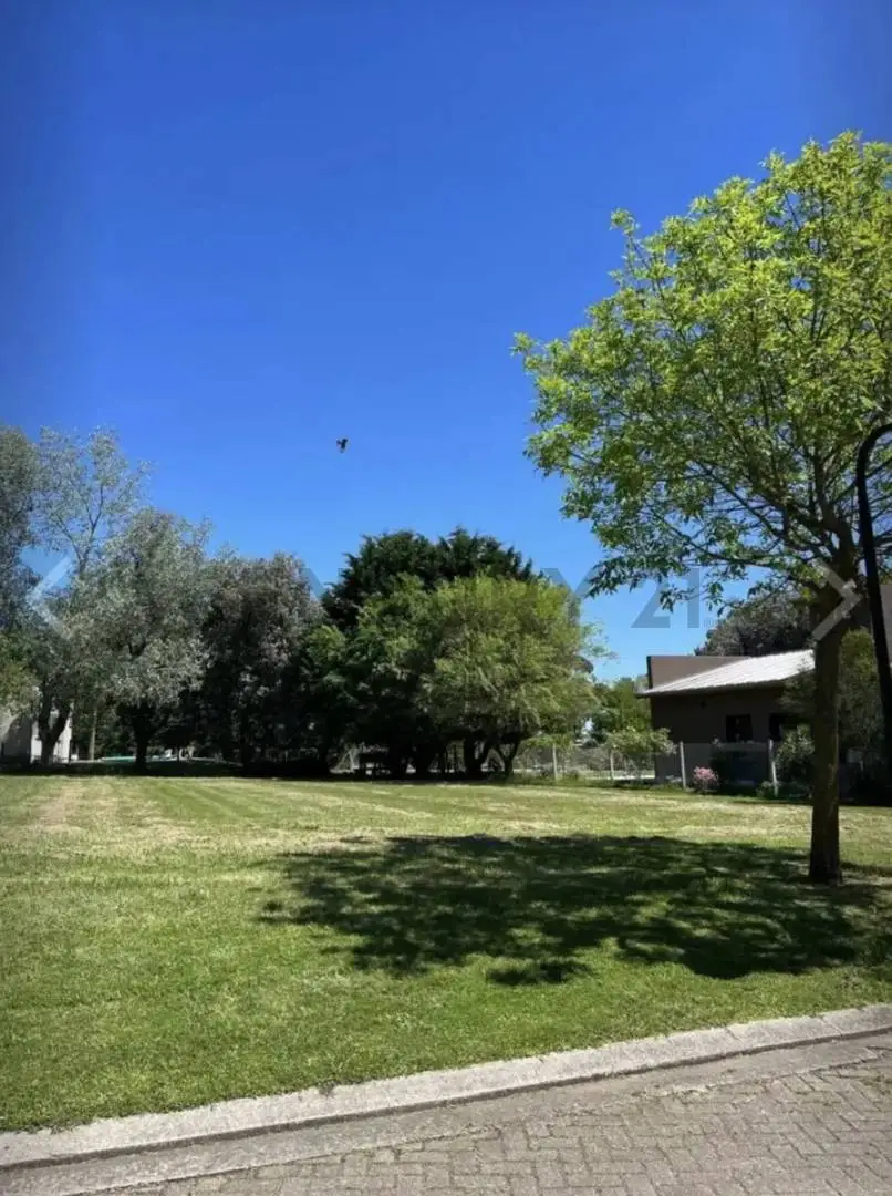 Lote de 742 m² en Tierra y Mar, foto 2