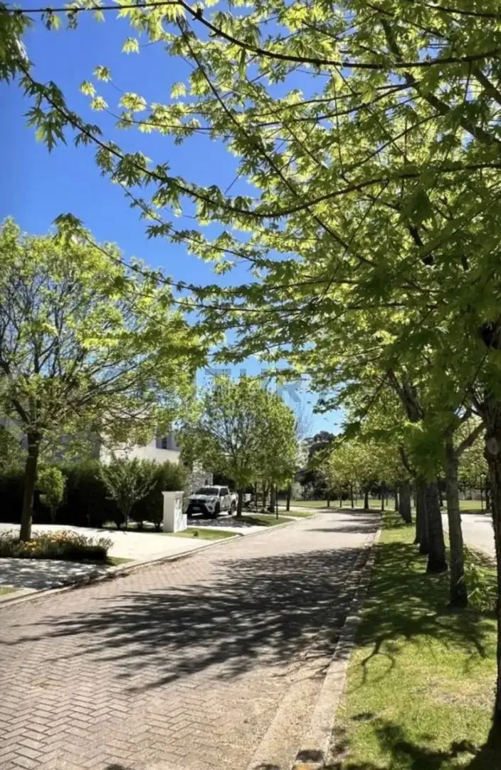 Lote de 742 m² en Tierra y Mar, foto 5