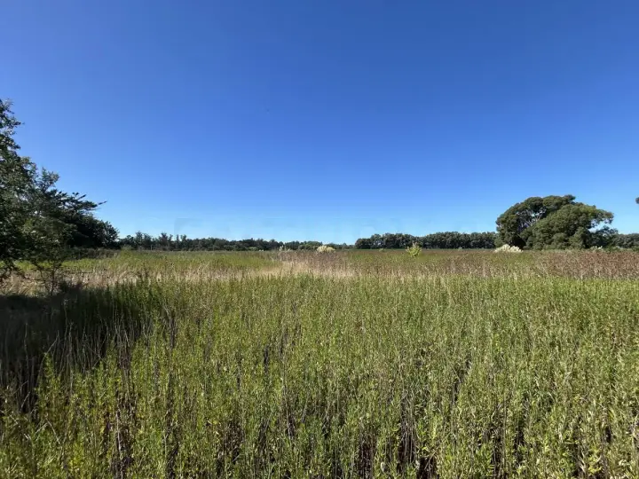 Lote de 4.000 m² en Santa Rosa del Mar, foto 1