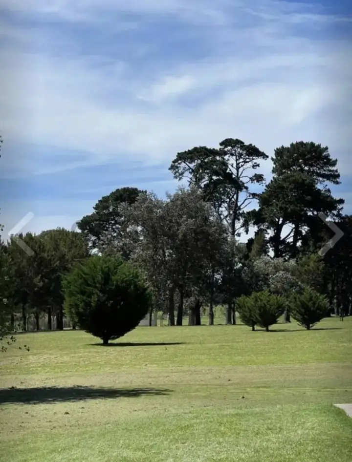 Lote de 742 m² en Tierra y Mar, foto 1